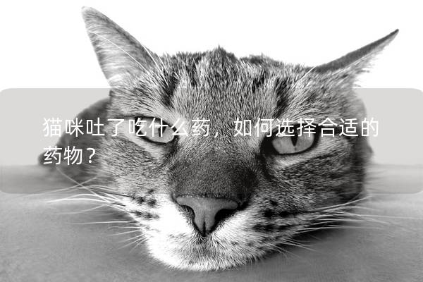 猫咪吐了吃什么药，如何选择合适的药物？