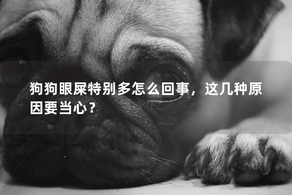 狗狗眼屎特别多怎么回事，这几种原因要当心？