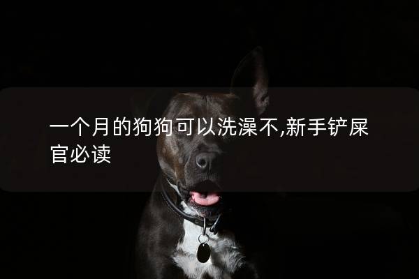 一个月的狗狗可以洗澡不,新手铲屎官必读