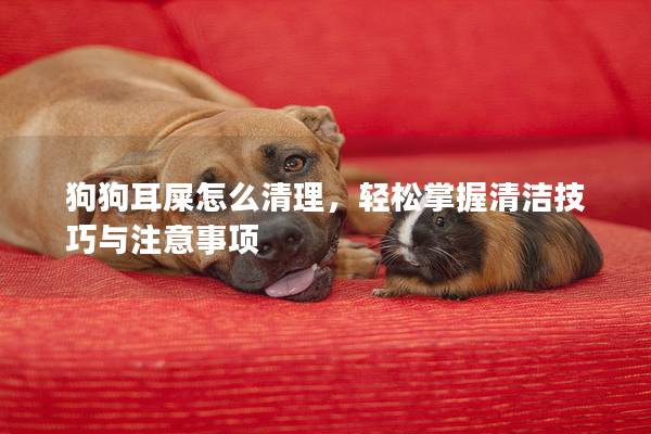 狗狗耳屎怎么清理，轻松掌握清洁技巧与注意事项
