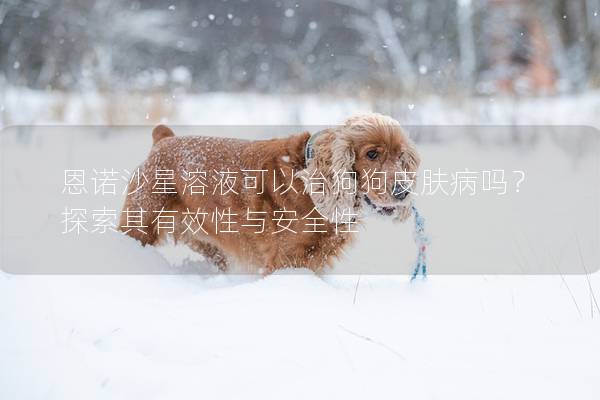 恩诺沙星溶液可以治狗狗皮肤病吗？探索其有效性与安全性