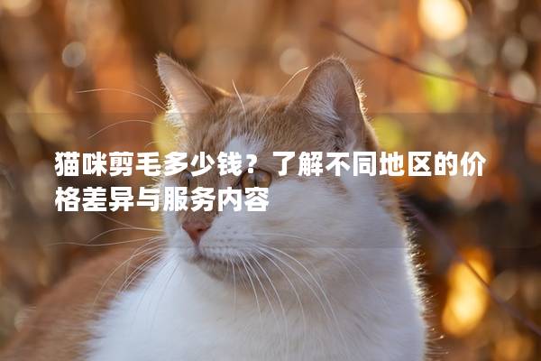 猫咪剪毛多少钱？了解不同地区的价格差异与服务内容