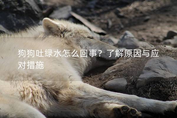 狗狗吐绿水怎么回事？了解原因与应对措施