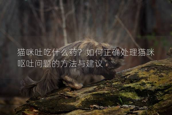 猫咪吐吃什么药？如何正确处理猫咪呕吐问题的方法与建议