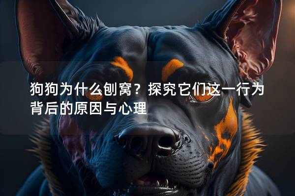 狗狗为什么刨窝？探究它们这一行为背后的原因与心理
