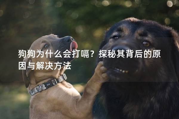 狗狗为什么会打嗝？探秘其背后的原因与解决方法