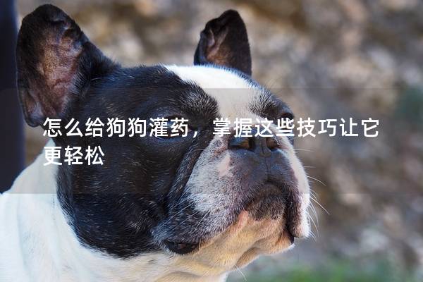 怎么给狗狗灌药，掌握这些技巧让它更轻松
