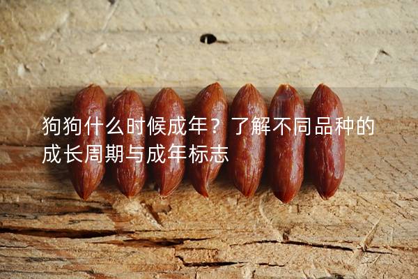 狗狗什么时候成年？了解不同品种的成长周期与成年标志