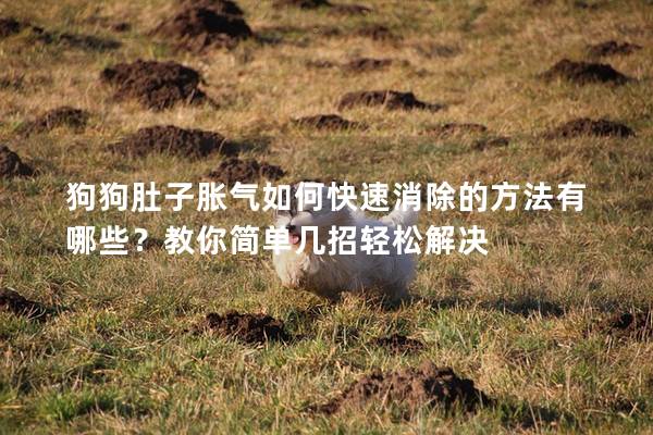 狗狗肚子胀气如何快速消除的方法有哪些？教你简单几招轻松解决
