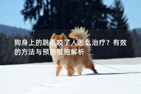 狗身上的跳蚤咬了人怎么治疗？有效的方法与预防措施解析