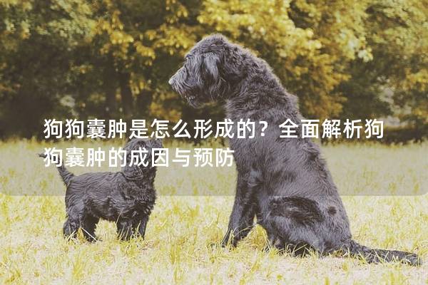 狗狗囊肿是怎么形成的？全面解析狗狗囊肿的成因与预防