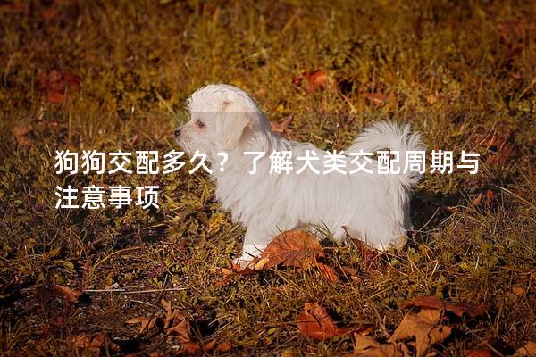 狗狗交配多久？了解犬类交配周期与注意事项
