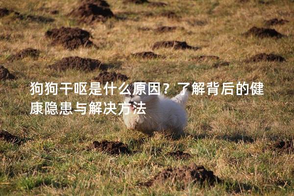 狗狗干呕是什么原因？了解背后的健康隐患与解决方法