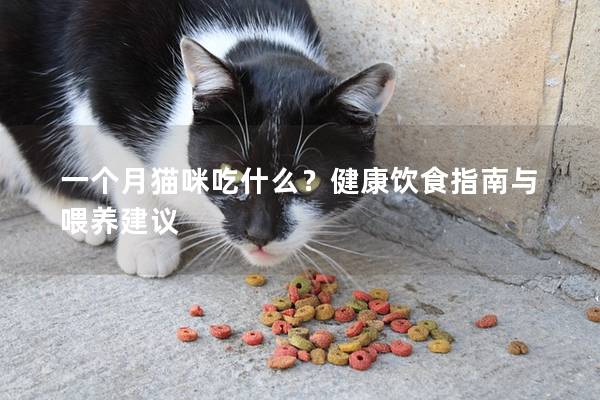 一个月猫咪吃什么？健康饮食指南与喂养建议