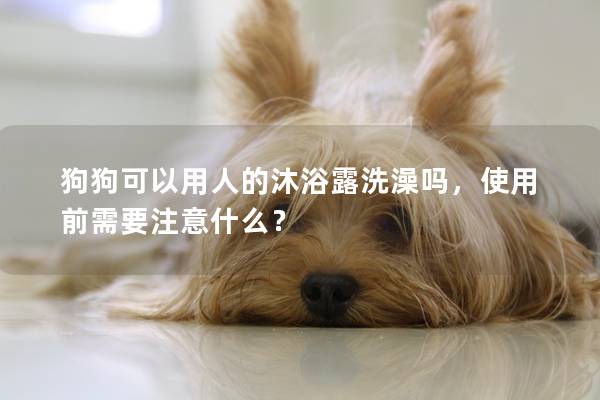 狗狗可以用人的沐浴露洗澡吗，使用前需要注意什么？