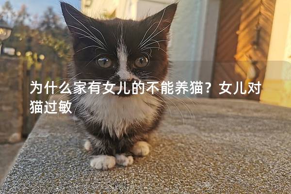 为什么家有女儿的不能养猫？女儿对猫过敏