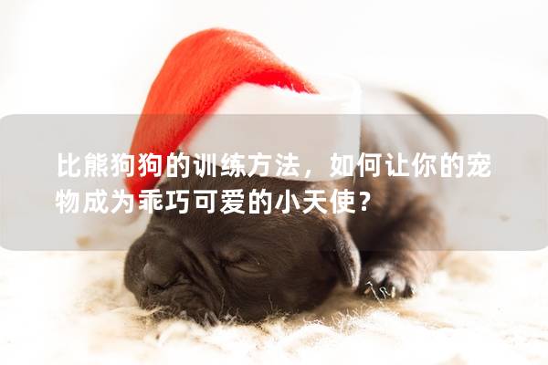 比熊狗狗的训练方法，如何让你的宠物成为乖巧可爱的小天使？