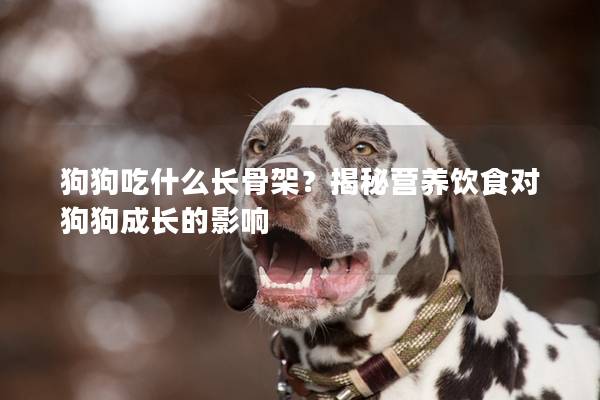 狗狗吃什么长骨架？揭秘营养饮食对狗狗成长的影响