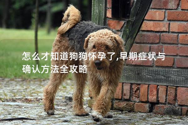 怎么才知道狗狗怀孕了,早期症状与确认方法全攻略