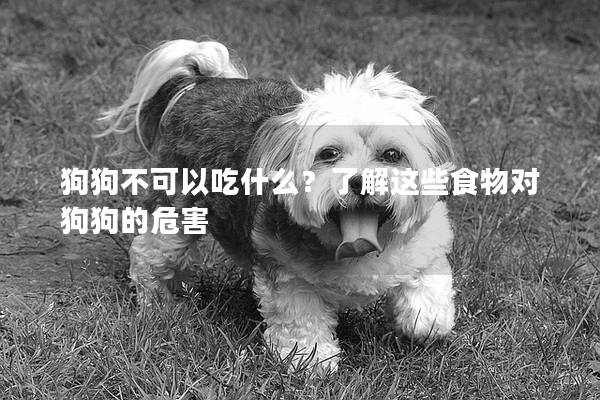 狗狗不可以吃什么？了解这些食物对狗狗的危害