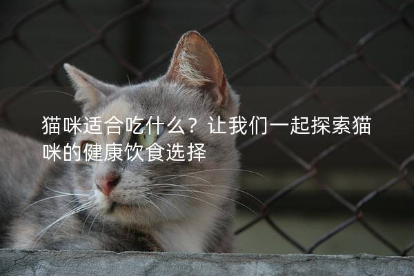猫咪适合吃什么？让我们一起探索猫咪的健康饮食选择