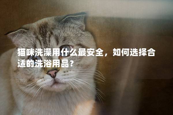 猫咪洗澡用什么最安全，如何选择合适的洗浴用品？
