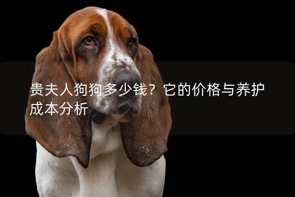 贵夫人狗狗多少钱？它的价格与养护成本分析