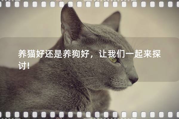 养猫好还是养狗好，让我们一起来探讨!