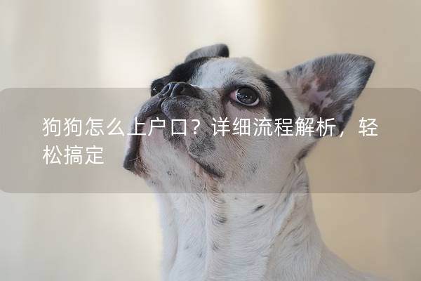 狗狗怎么上户口？详细流程解析，轻松搞定