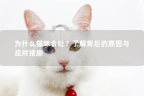 为什么猫咪会吐？了解背后的原因与应对措施