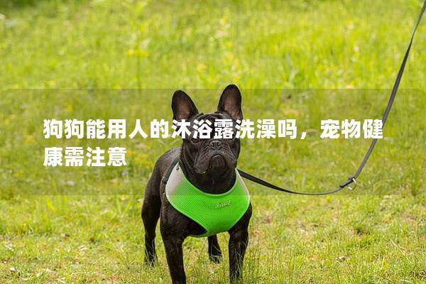 狗狗能用人的沐浴露洗澡吗，宠物健康需注意