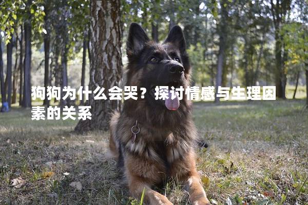 狗狗为什么会哭？探讨情感与生理因素的关系