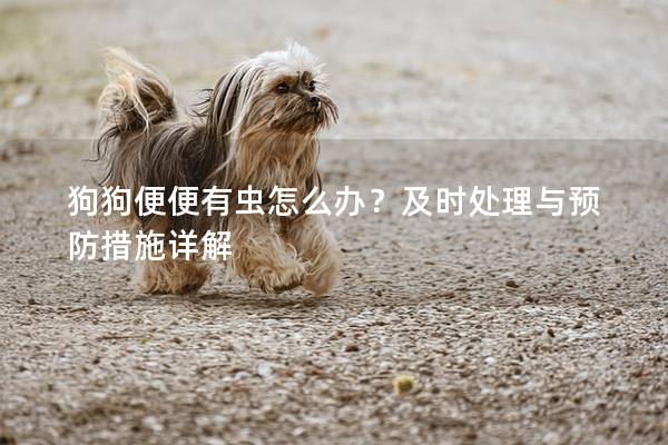 狗狗便便有虫怎么办？及时处理与预防措施详解