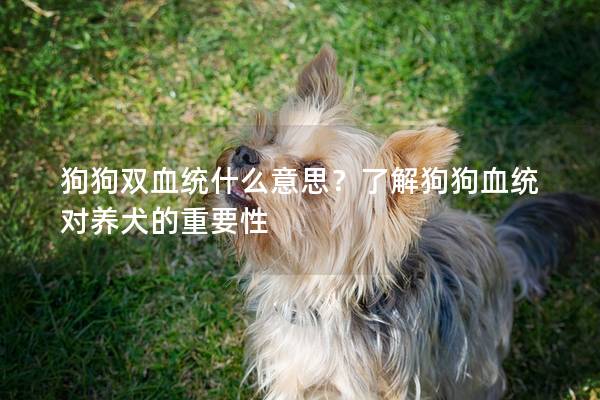 狗狗双血统什么意思？了解狗狗血统对养犬的重要性