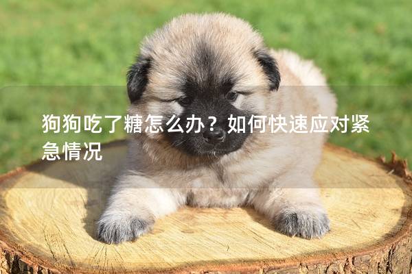 狗狗吃了糖怎么办？如何快速应对紧急情况