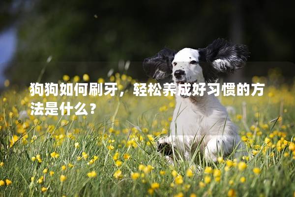 狗狗如何刷牙，轻松养成好习惯的方法是什么？