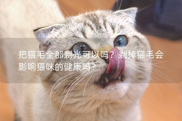 把猫毛全部剃光可以吗？剃掉猫毛会影响猫咪的健康吗？