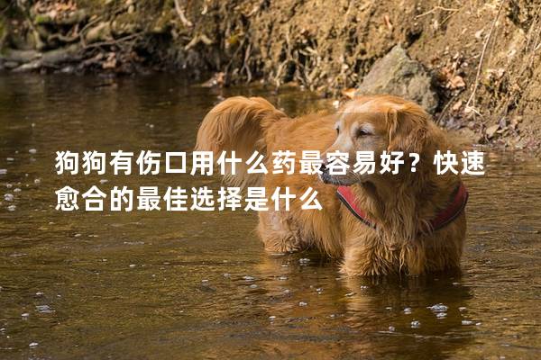 狗狗有伤口用什么药最容易好？快速愈合的最佳选择是什么