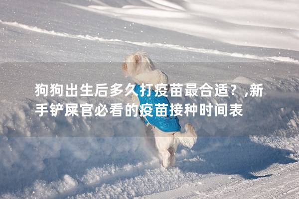 狗狗出生后多久打疫苗最合适？,新手铲屎官必看的疫苗接种时间表