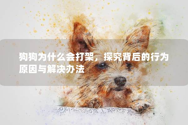 狗狗为什么会打架，探究背后的行为原因与解决办法