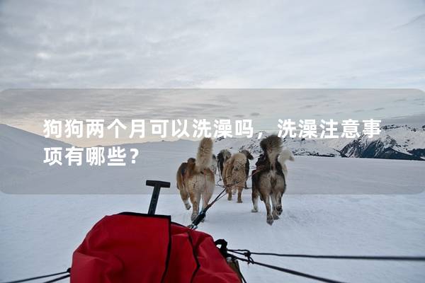 狗狗两个月可以洗澡吗，洗澡注意事项有哪些？