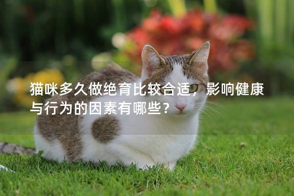猫咪多久做绝育比较合适，影响健康与行为的因素有哪些？