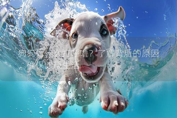 狗狗为什么打呼噜？了解背后的原因，确保健康生活