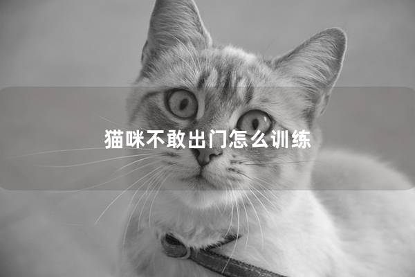 猫咪不敢出门怎么训练