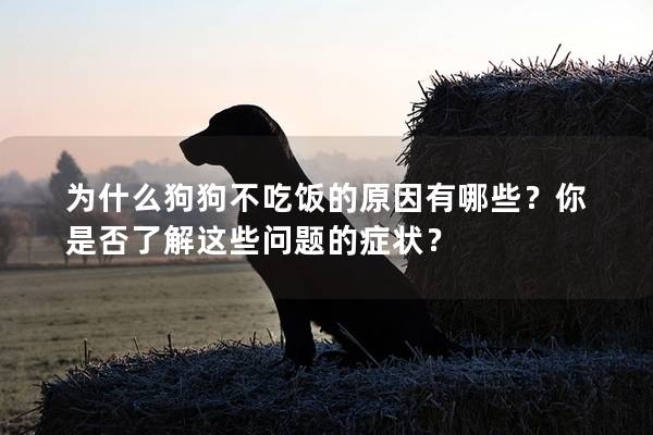 为什么狗狗不吃饭的原因有哪些？你是否了解这些问题的症状？