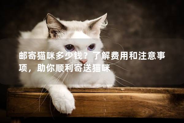 邮寄猫咪多少钱？了解费用和注意事项，助你顺利寄送猫咪