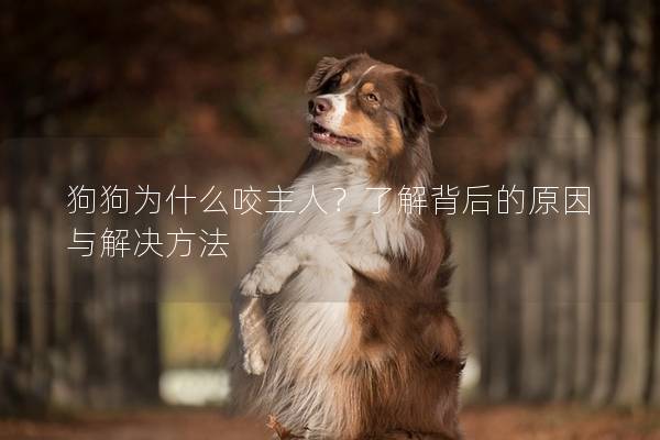 狗狗为什么咬主人？了解背后的原因与解决方法