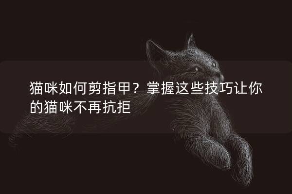 猫咪如何剪指甲？掌握这些技巧让你的猫咪不再抗拒