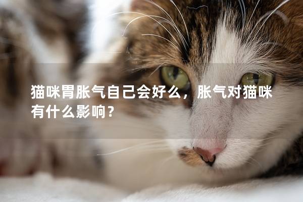 猫咪胃胀气自己会好么，胀气对猫咪有什么影响？