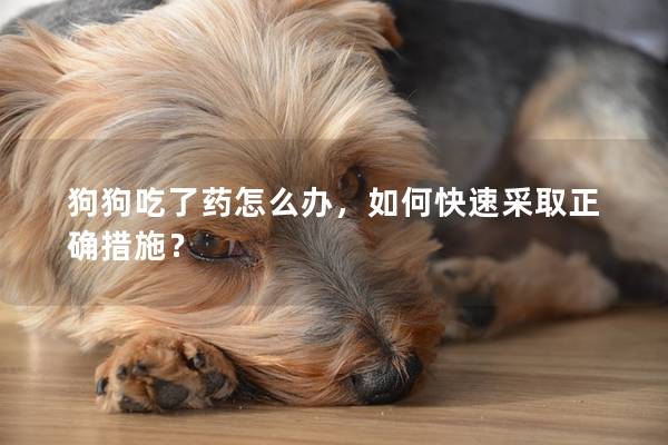 狗狗吃了药怎么办，如何快速采取正确措施？